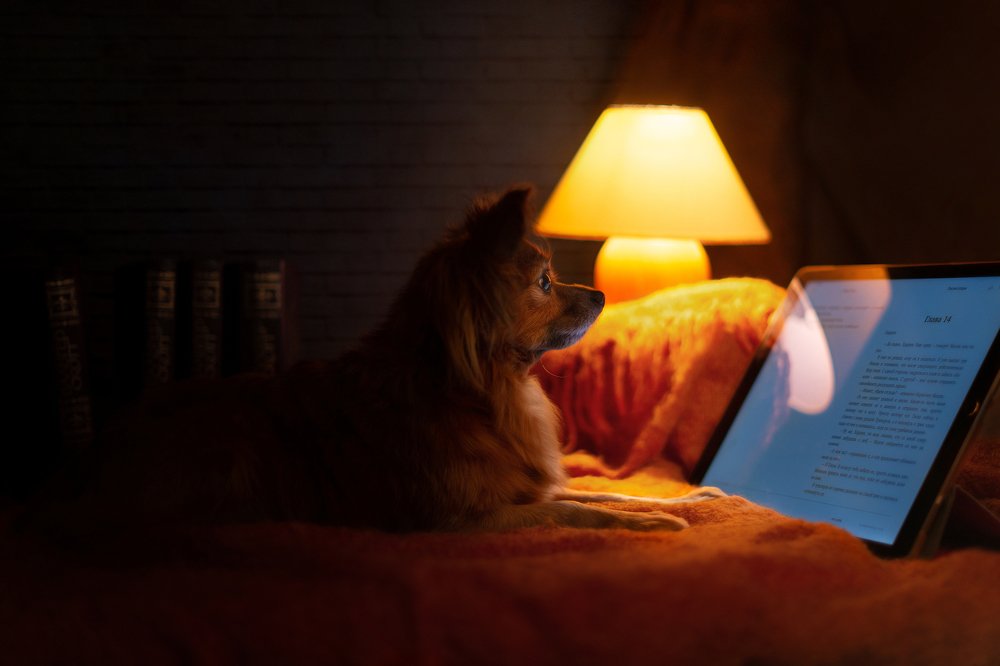 Photograph by Елена Соловьева