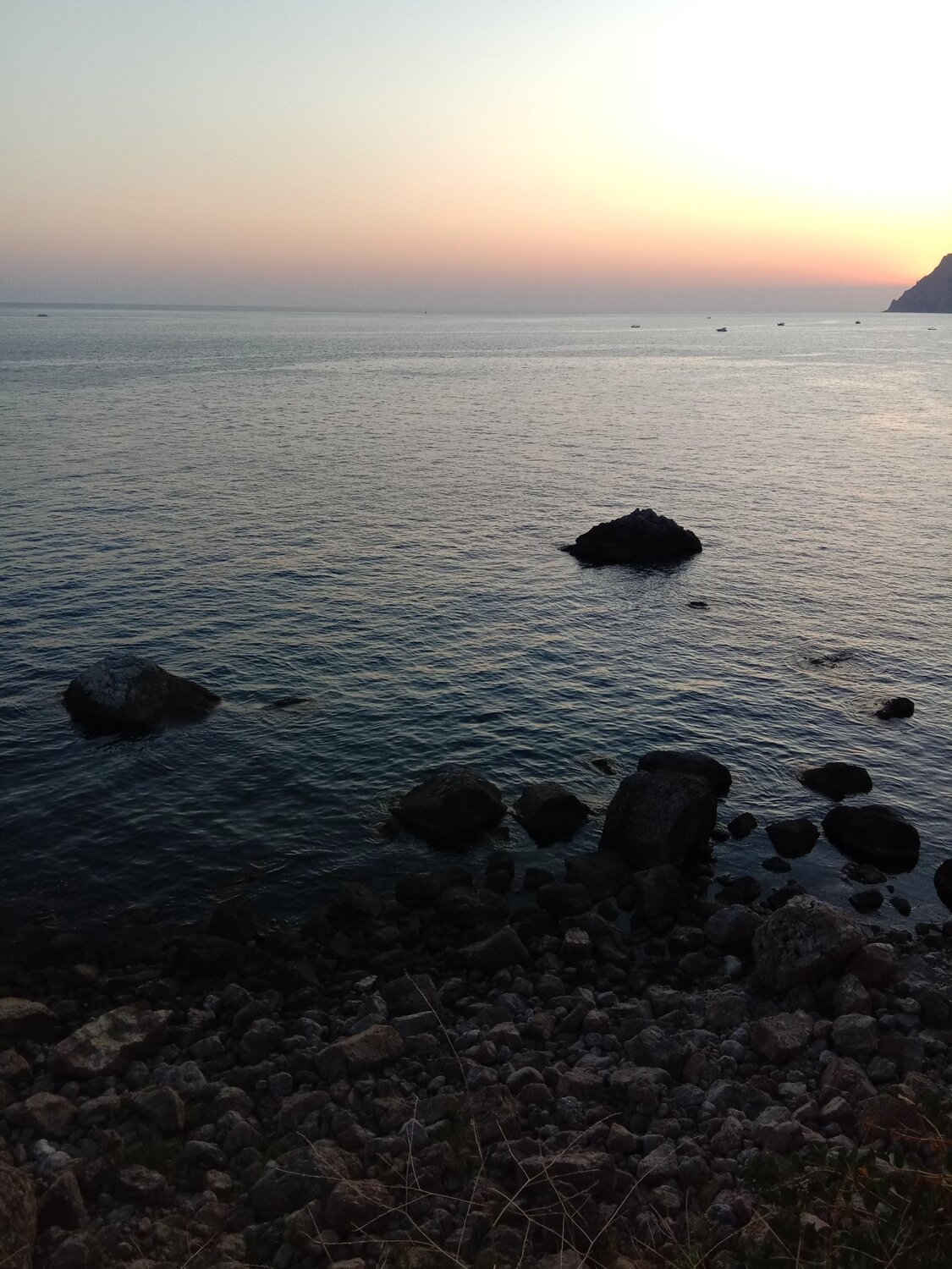 Photo #5298408
