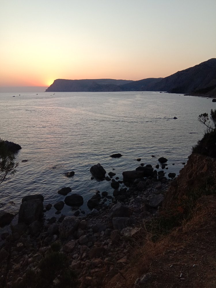 Photo #5298409