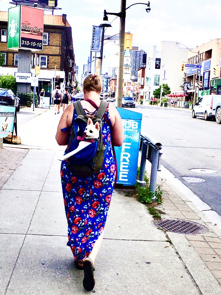 Photograph by Владимир Молостов