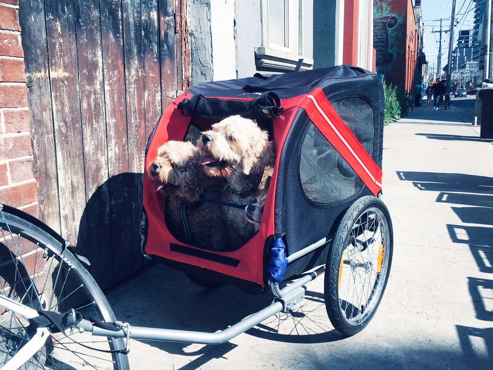 Photograph by Владимир Молостов