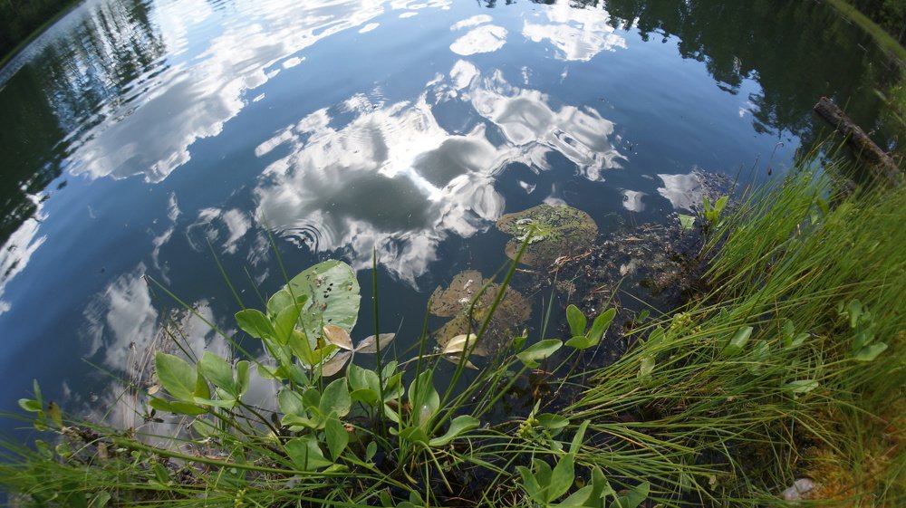 Photograph by Алексей Аедоницкий