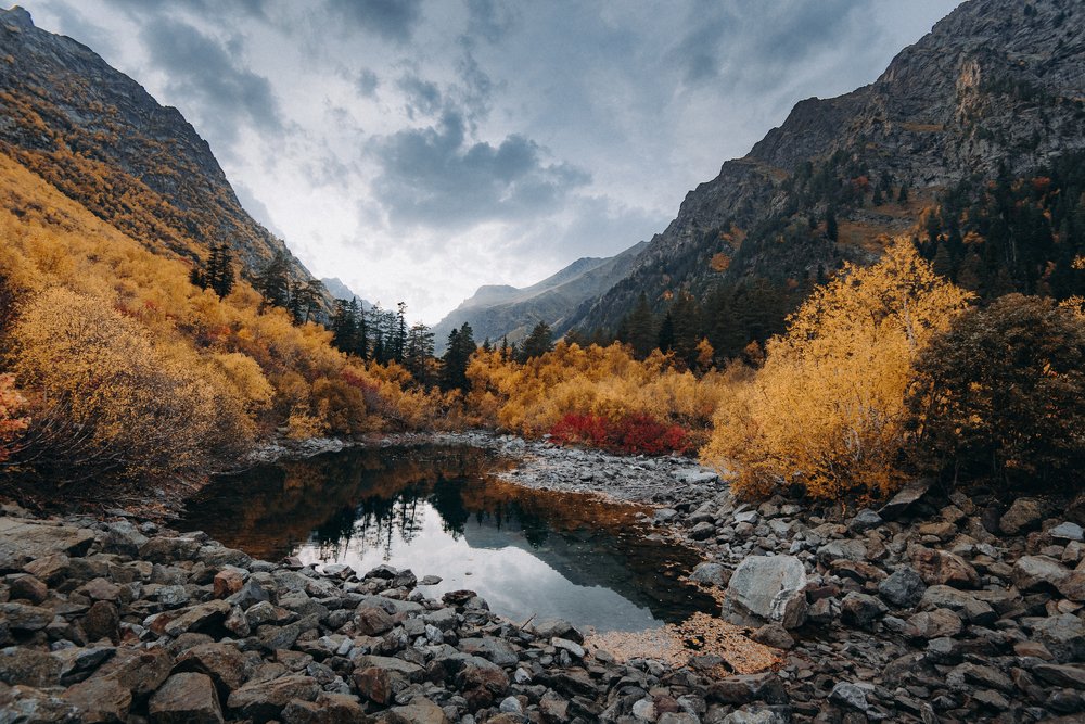 Photograph by Алексей Соколенко