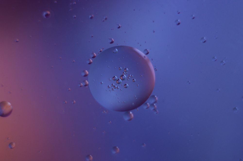 Фотография автора Анна Кравченко