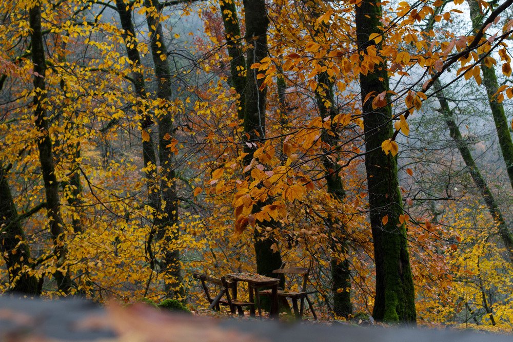 Photograph by Aminat Koxayeva