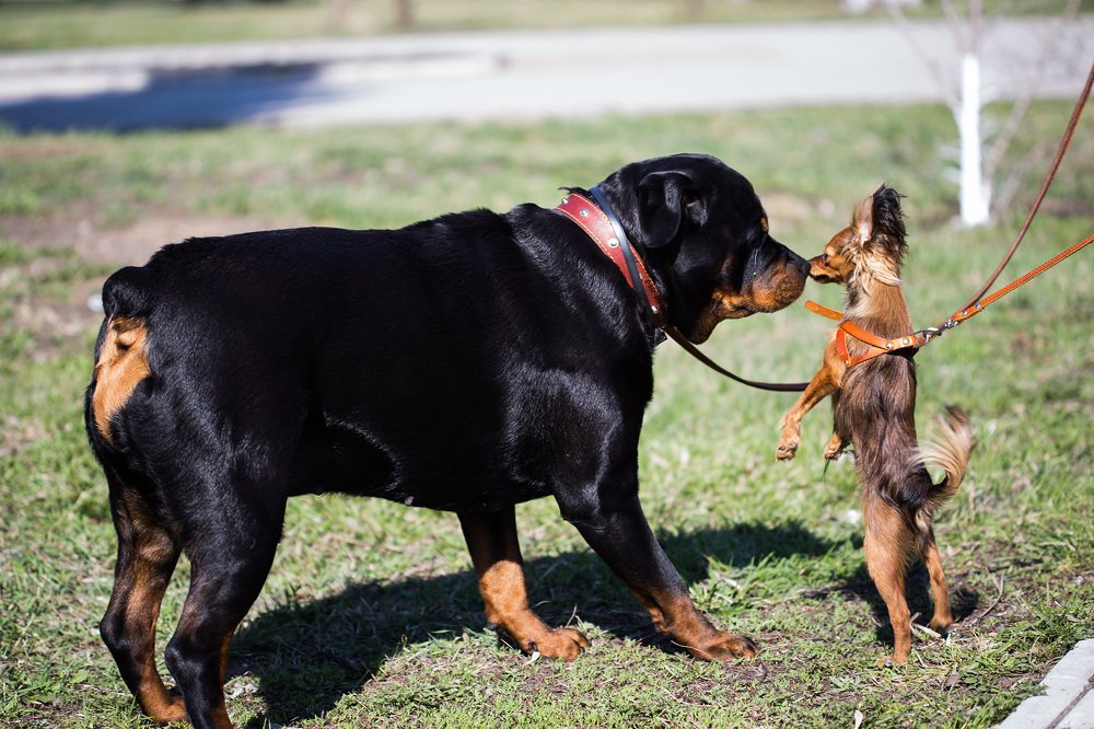 Photograph by Алексей Черников