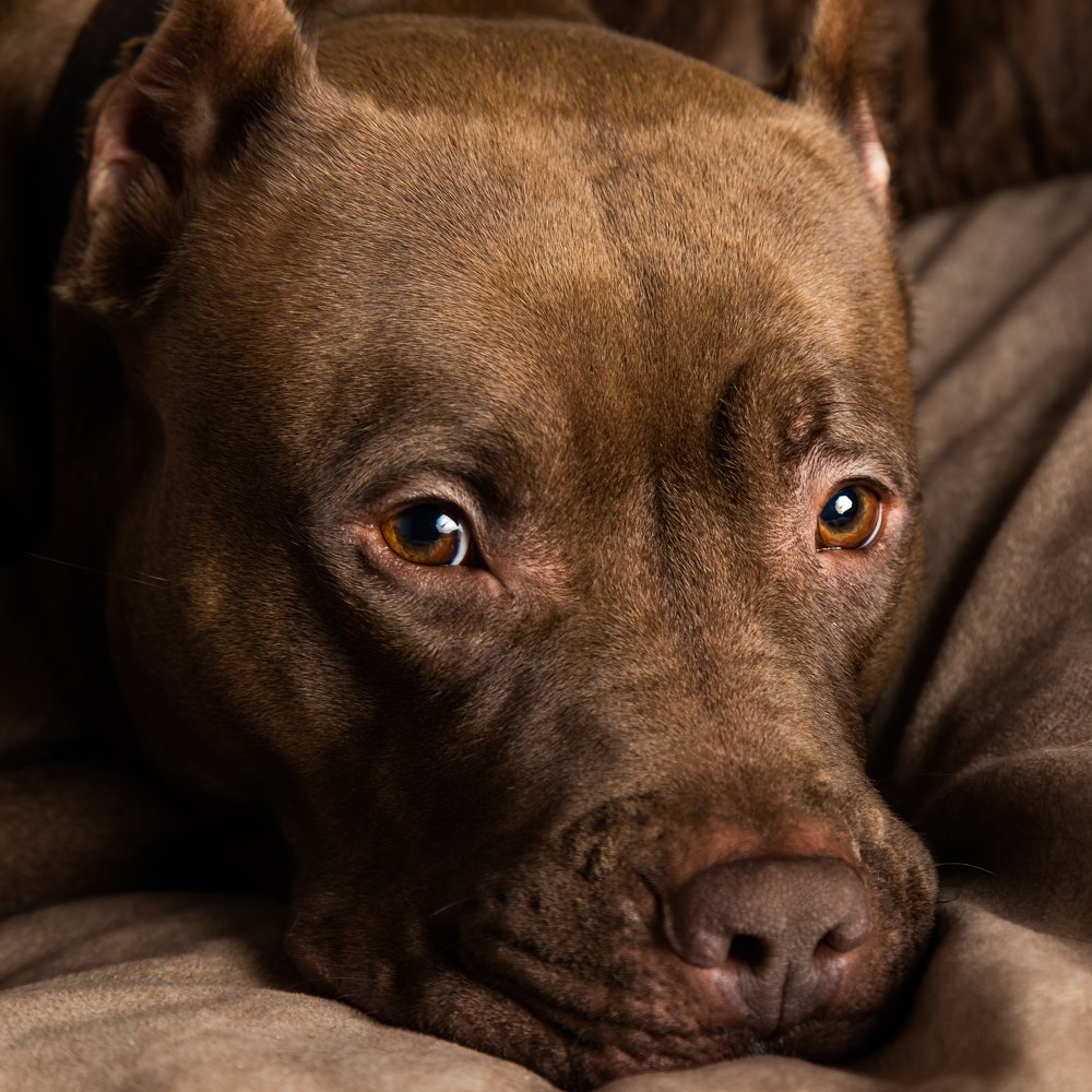 Когда грустно