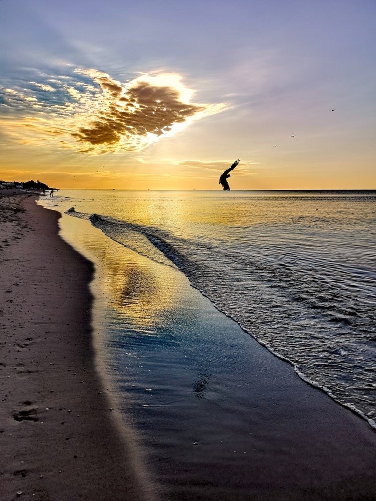 Photograph by AlenaTV