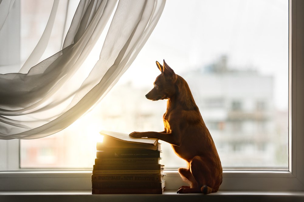 Photograph by Елена Соловьева