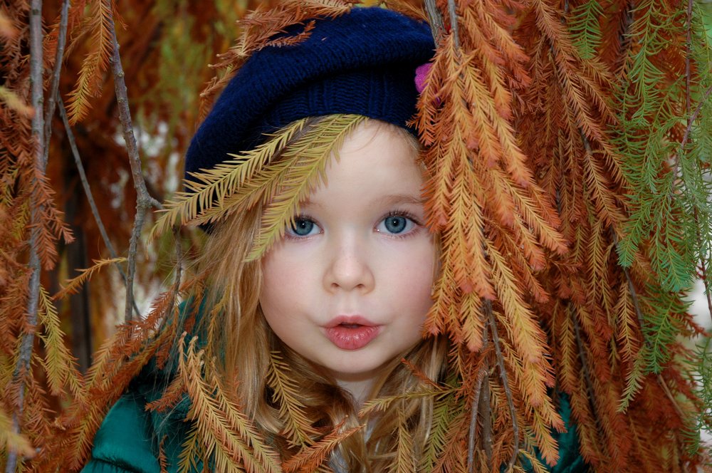 Photo #5298566