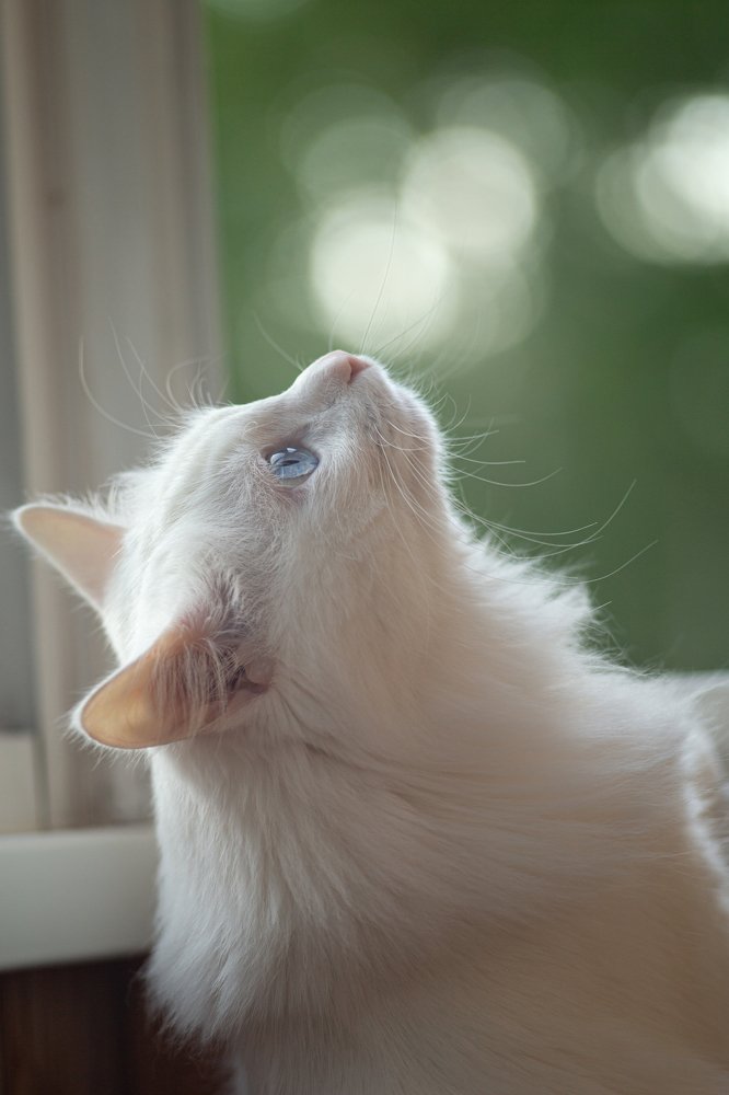 Photograph by Елена Пушница