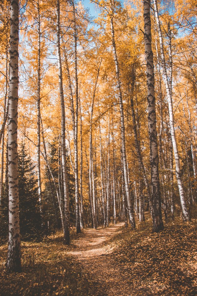 Photograph by Родионова Ксения