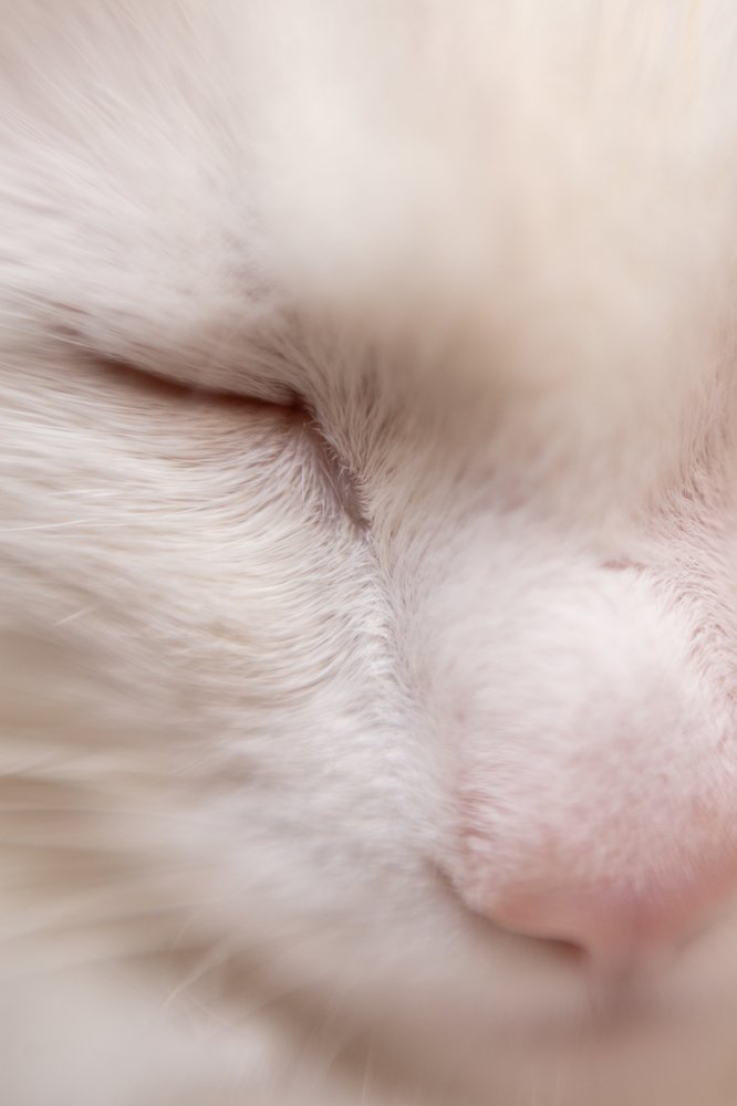 Photograph by Елена Пушница