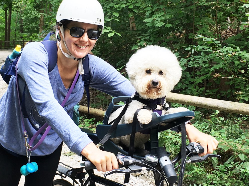 Photograph by Владимир Молостов