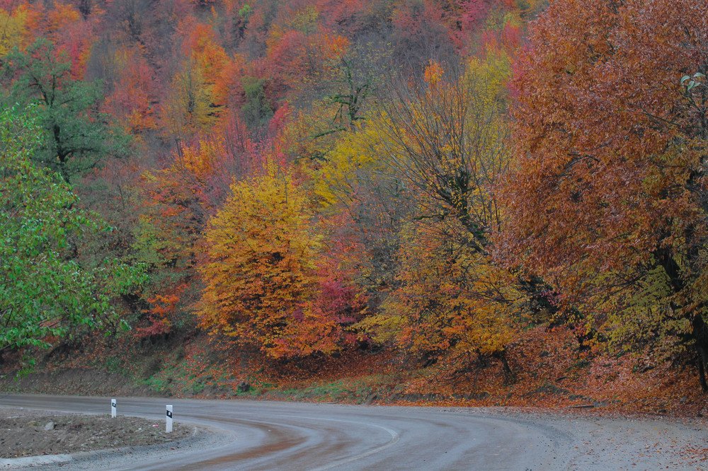 Photograph by Aminat Koxayeva