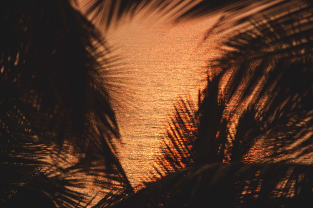 Photograph by Виталий Гуляев