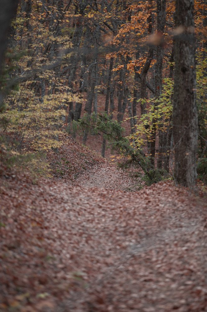 Photograph by Vladimir Soroka