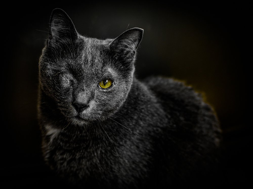 Photograph by Сергей Глухарев