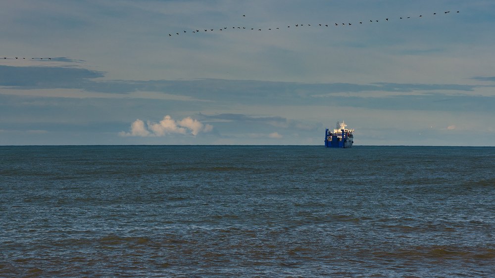 Photograph by Manjri Saxena