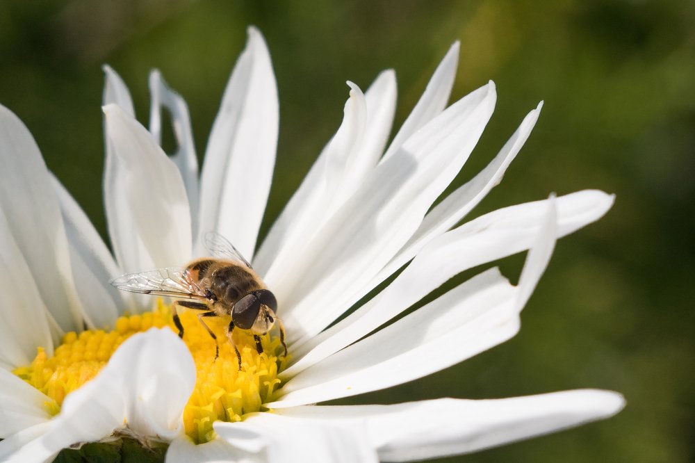 Photograph by Татьяна Юдина