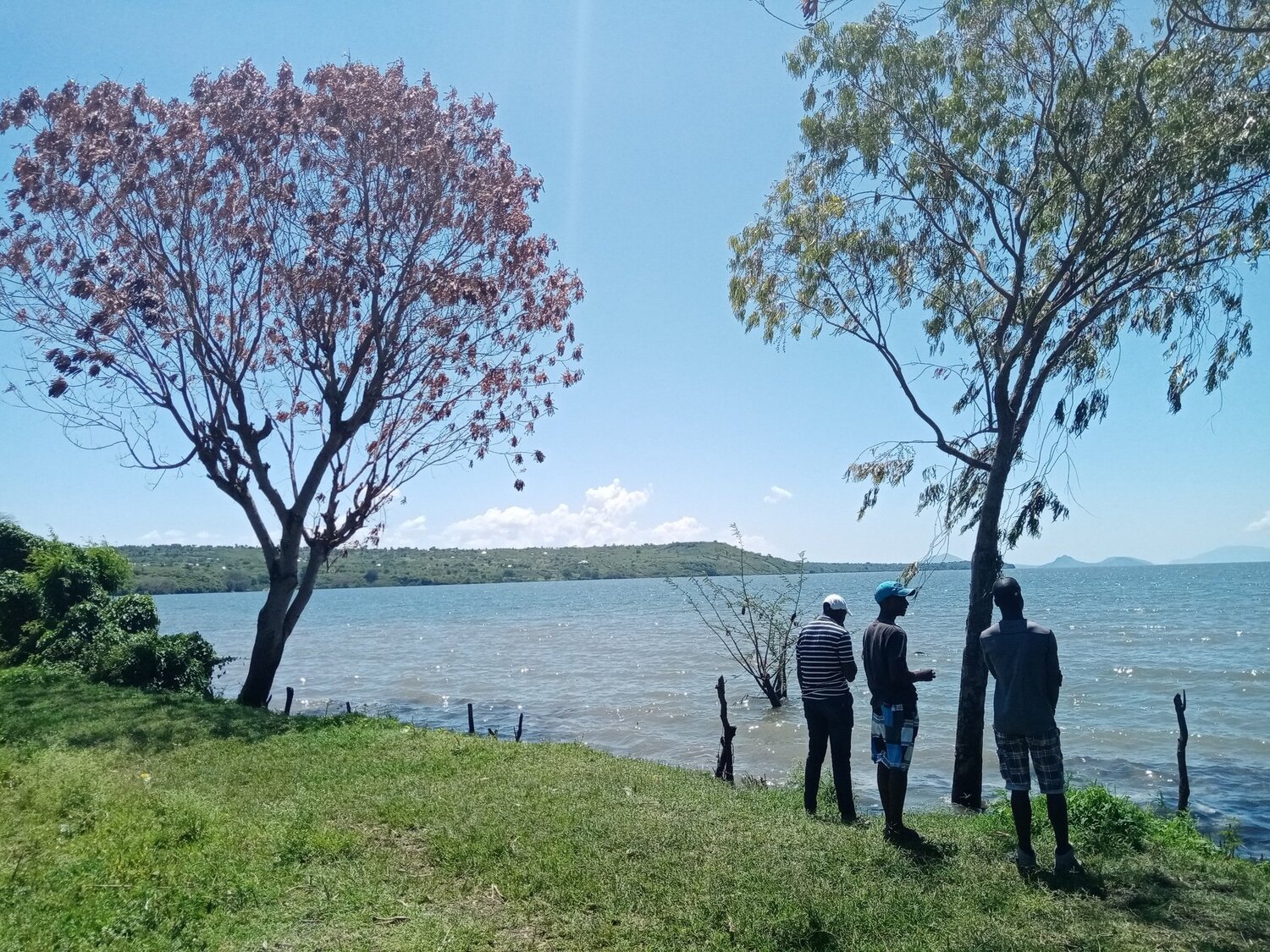 Photo #5298649