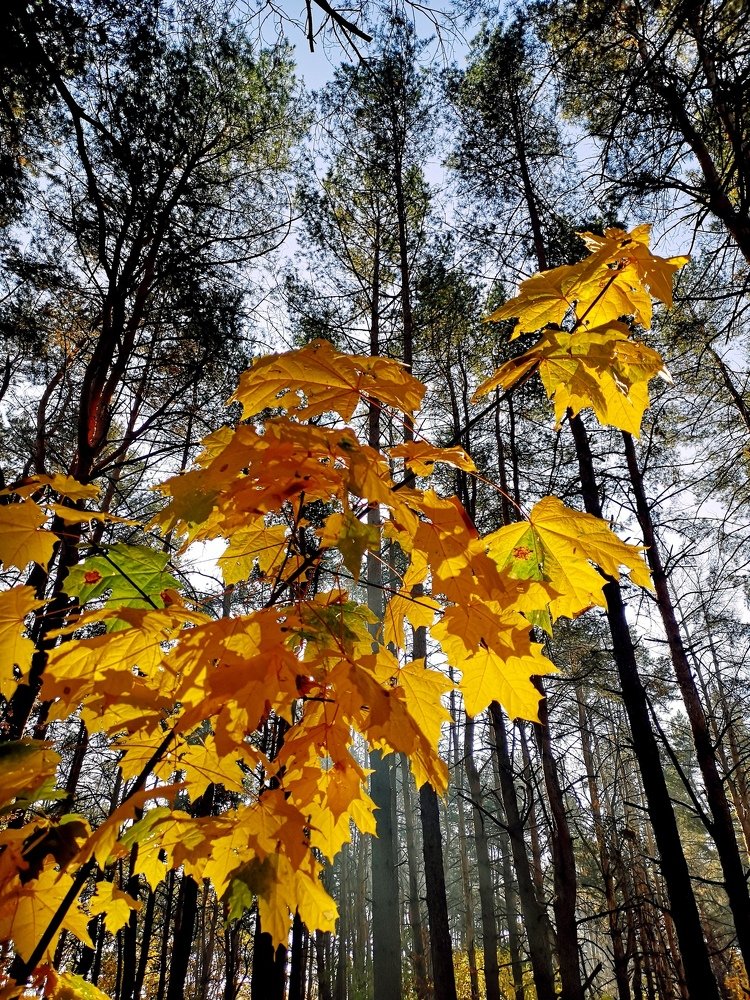 Photograph by AlenaTV