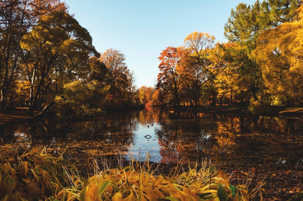 Photograph by Виталий Гуляев