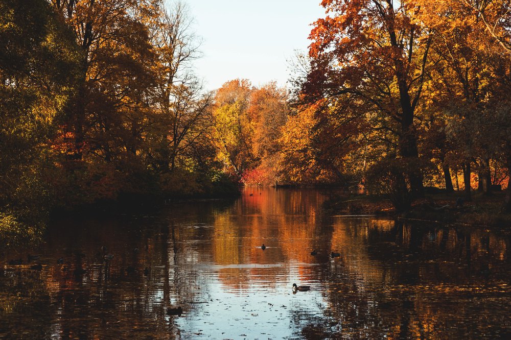 Photograph by Виталий Гуляев