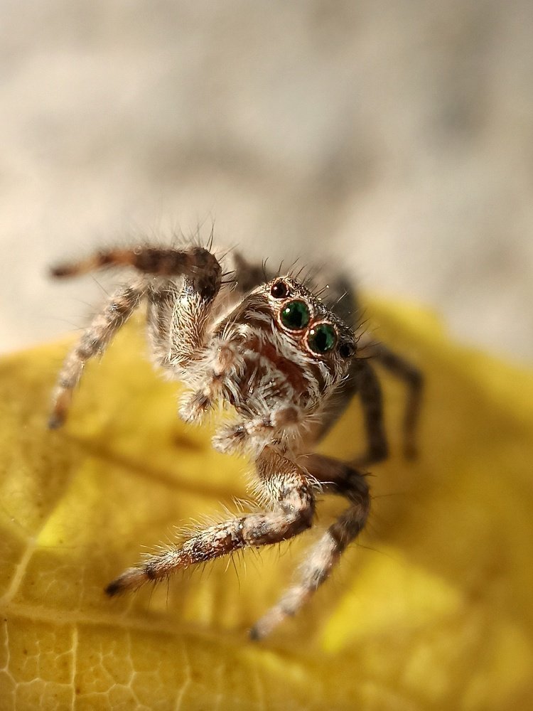 Photograph by Falah Mohammad reza