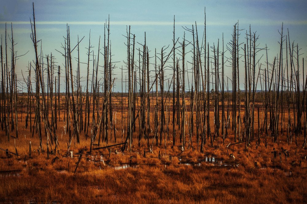 Photograph by Виталий Гуляев