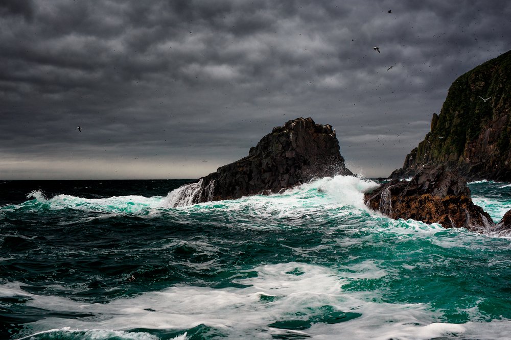 Photograph by Сергей Андреев