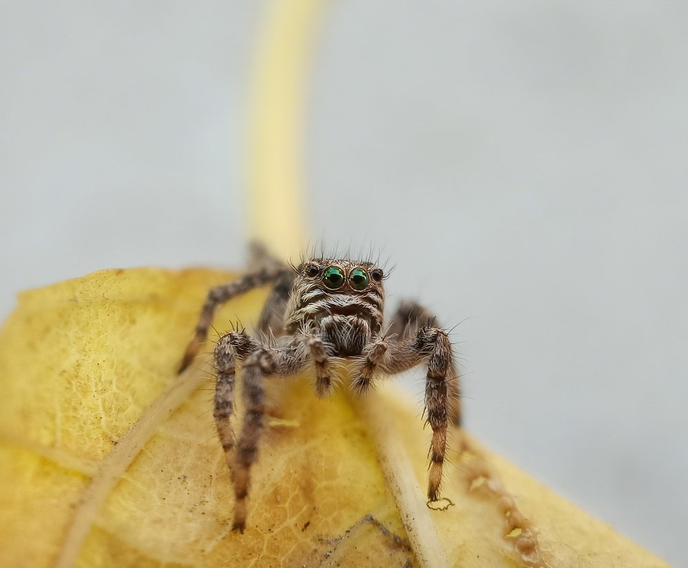 Photograph by Falah Mohammad reza