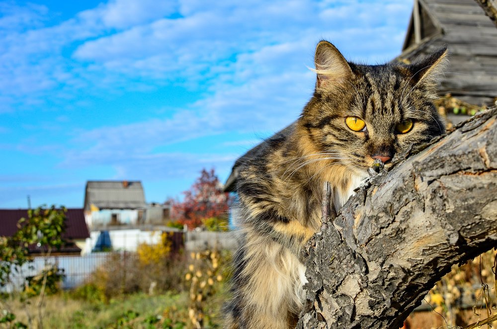 Photograph by Сергей Глухарев