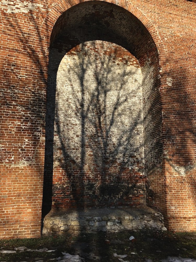 Photograph by Людмила Казакова