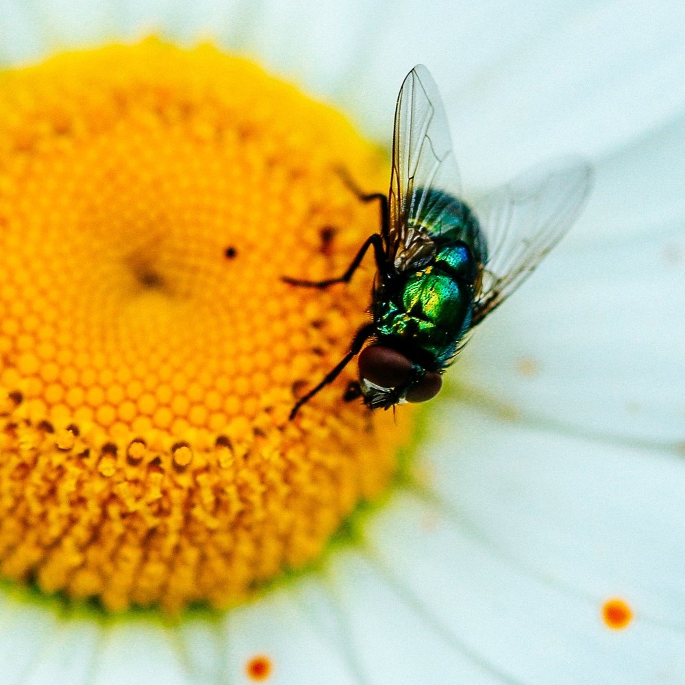 Photograph by Giga Kokoladze