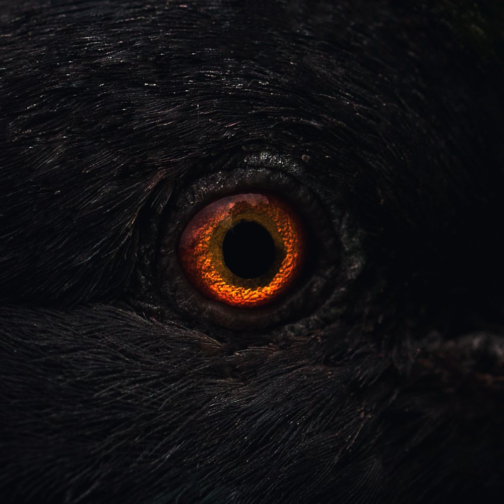 Photograph by Виталий Гуляев