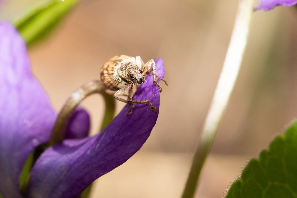 Photograph by Сергей Беляевский