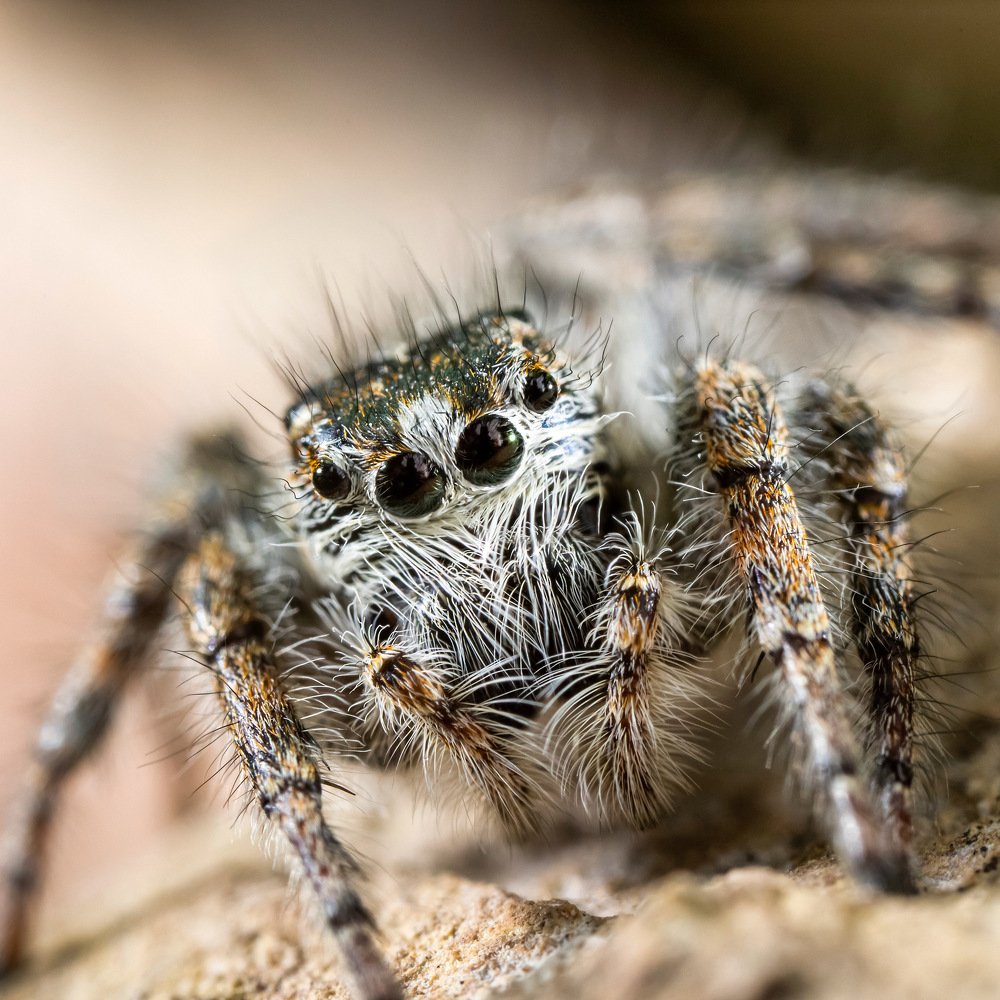 Фотография автора Dolli Pogrebnaya