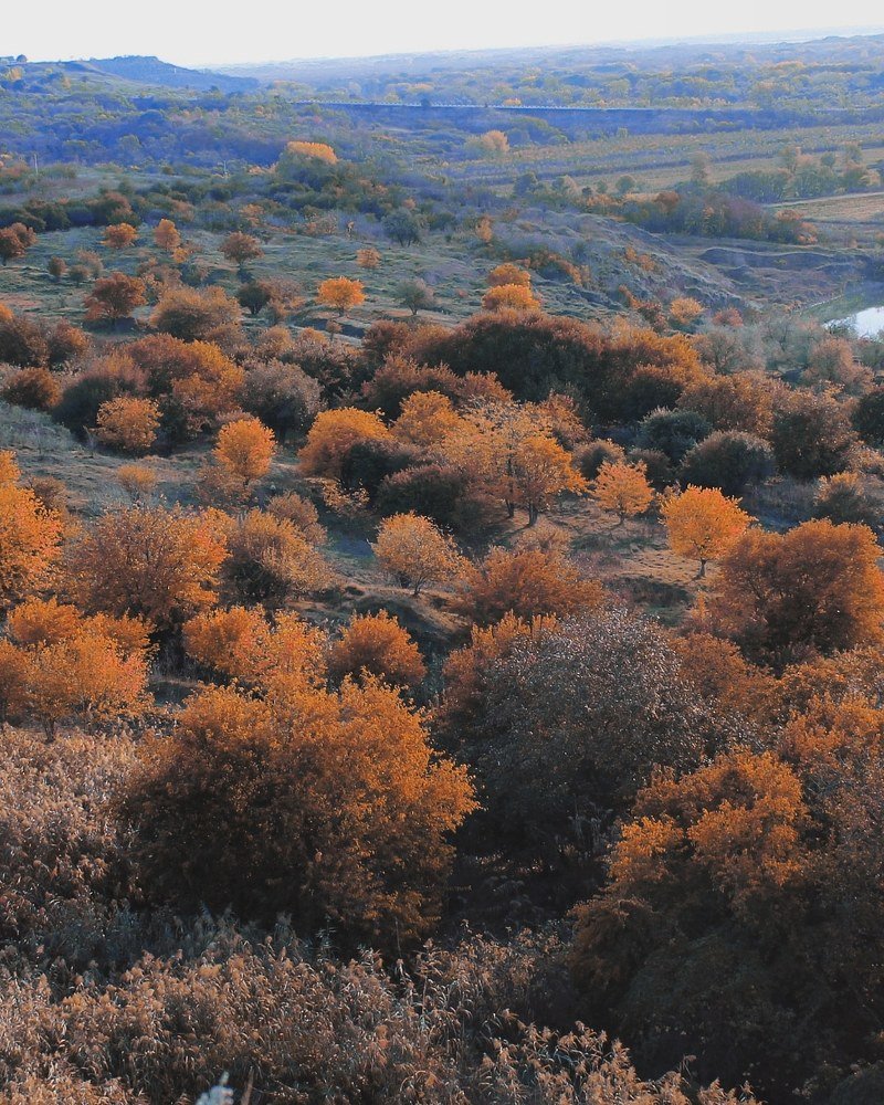 Photograph by Татьяна Слободчикова