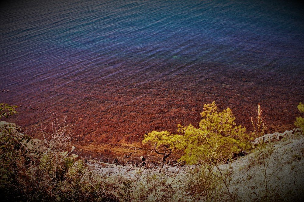 Photograph by Сергей