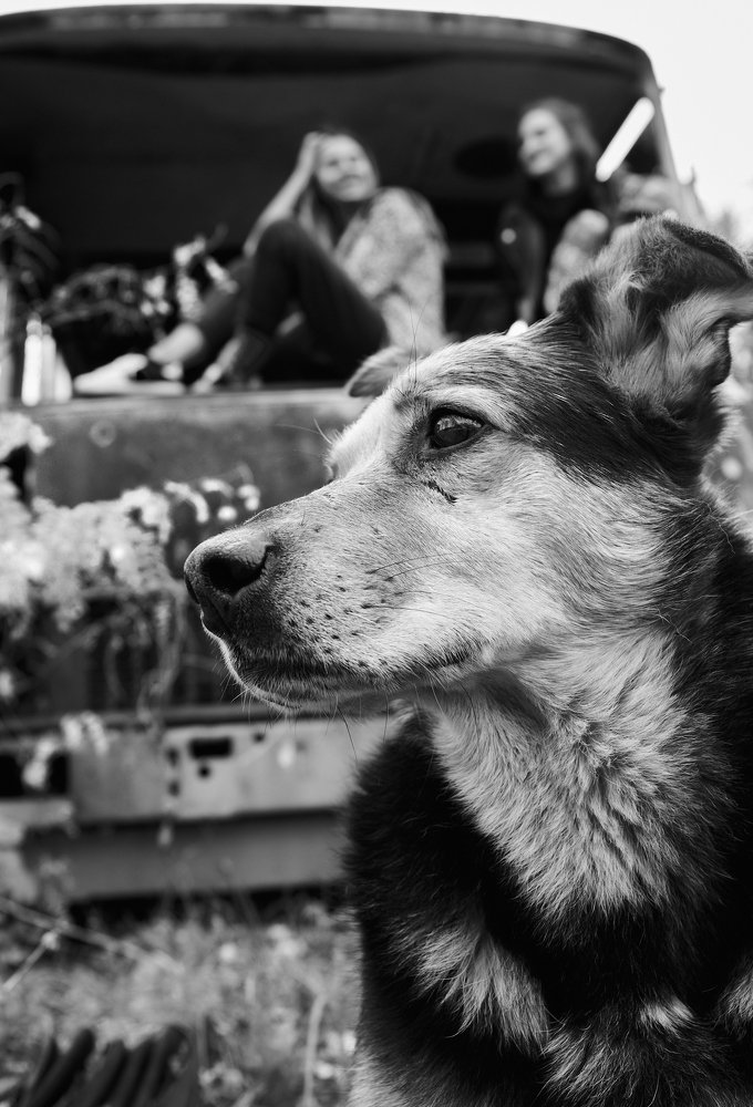 The dog's human friend