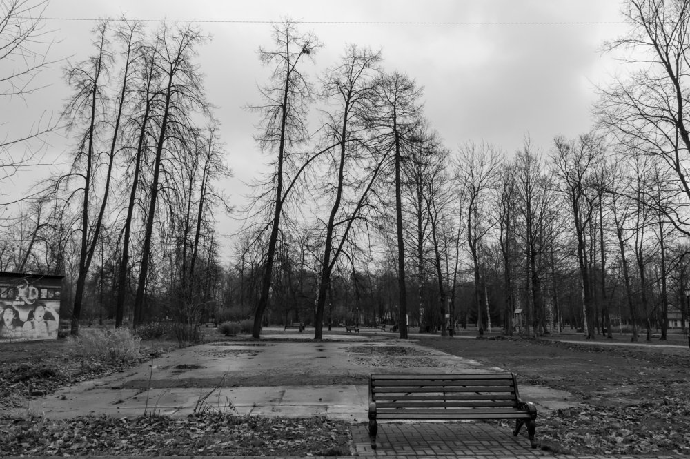 Photograph by Мария Тёмкина