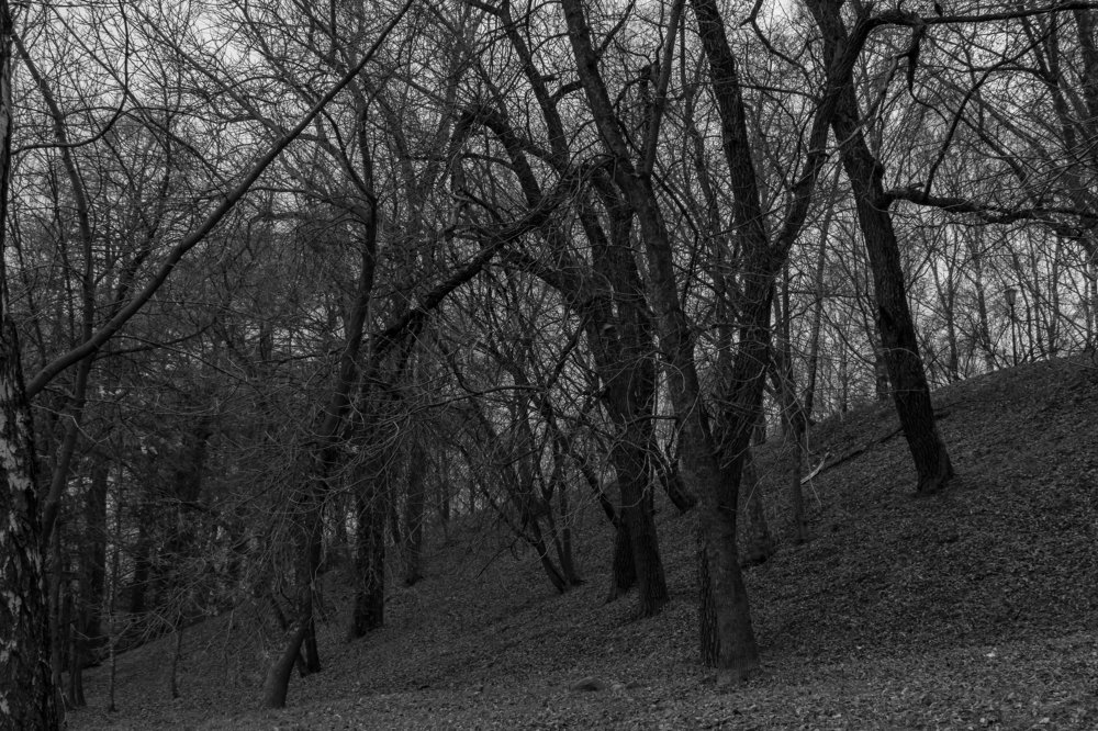 Photograph by Мария Тёмкина