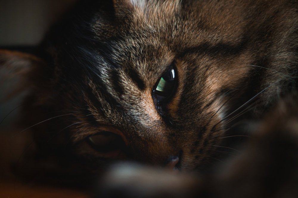 Photograph by Александр Быдрицкий