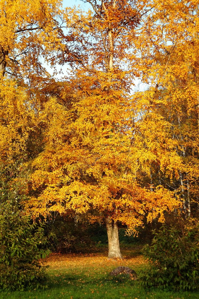 Photograph by Константин Лагоденко