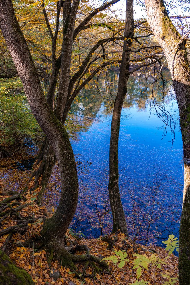 Photograph by Людмила Шафрай