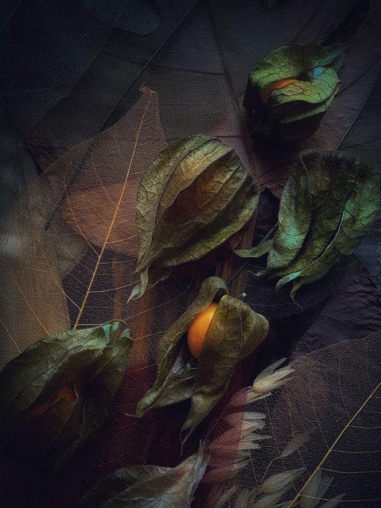 Photograph by Светлана Валентионок