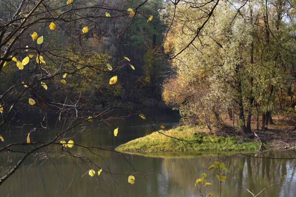 Photograph by Михаил