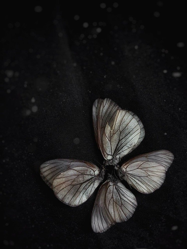 Photograph by Светлана Валентионок