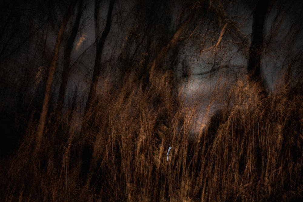 Photograph by Дарья Сверенкова